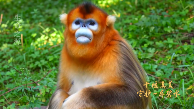 十堰真美 守护一库碧水1